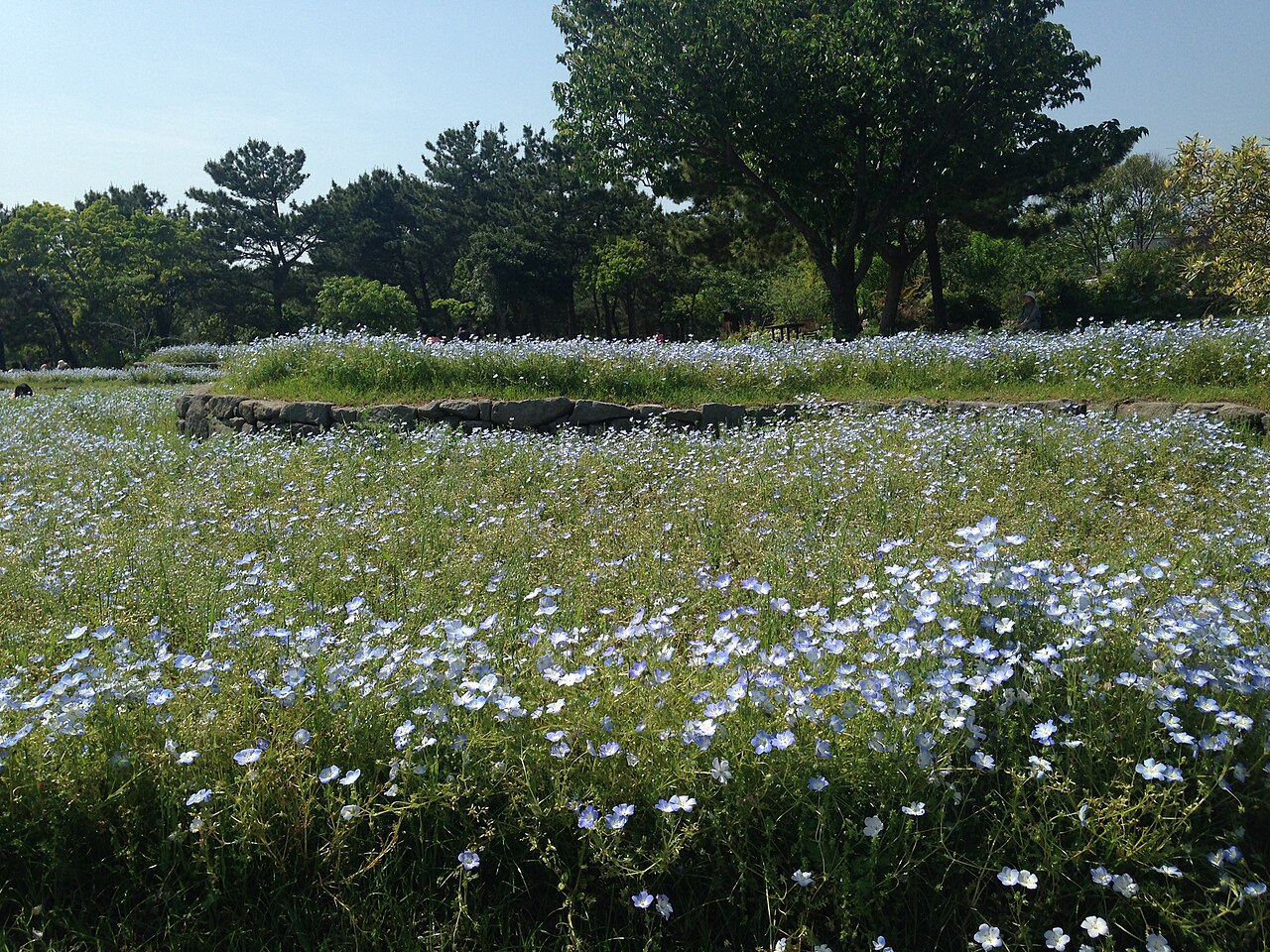 海の中道海浜公園